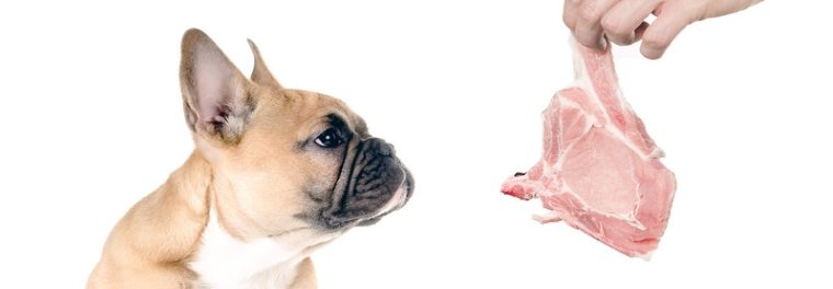 Large piece of meat held in front of dog's nose