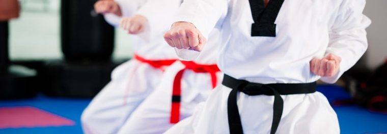 Photo of martial arts students